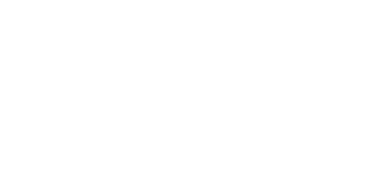 Låset